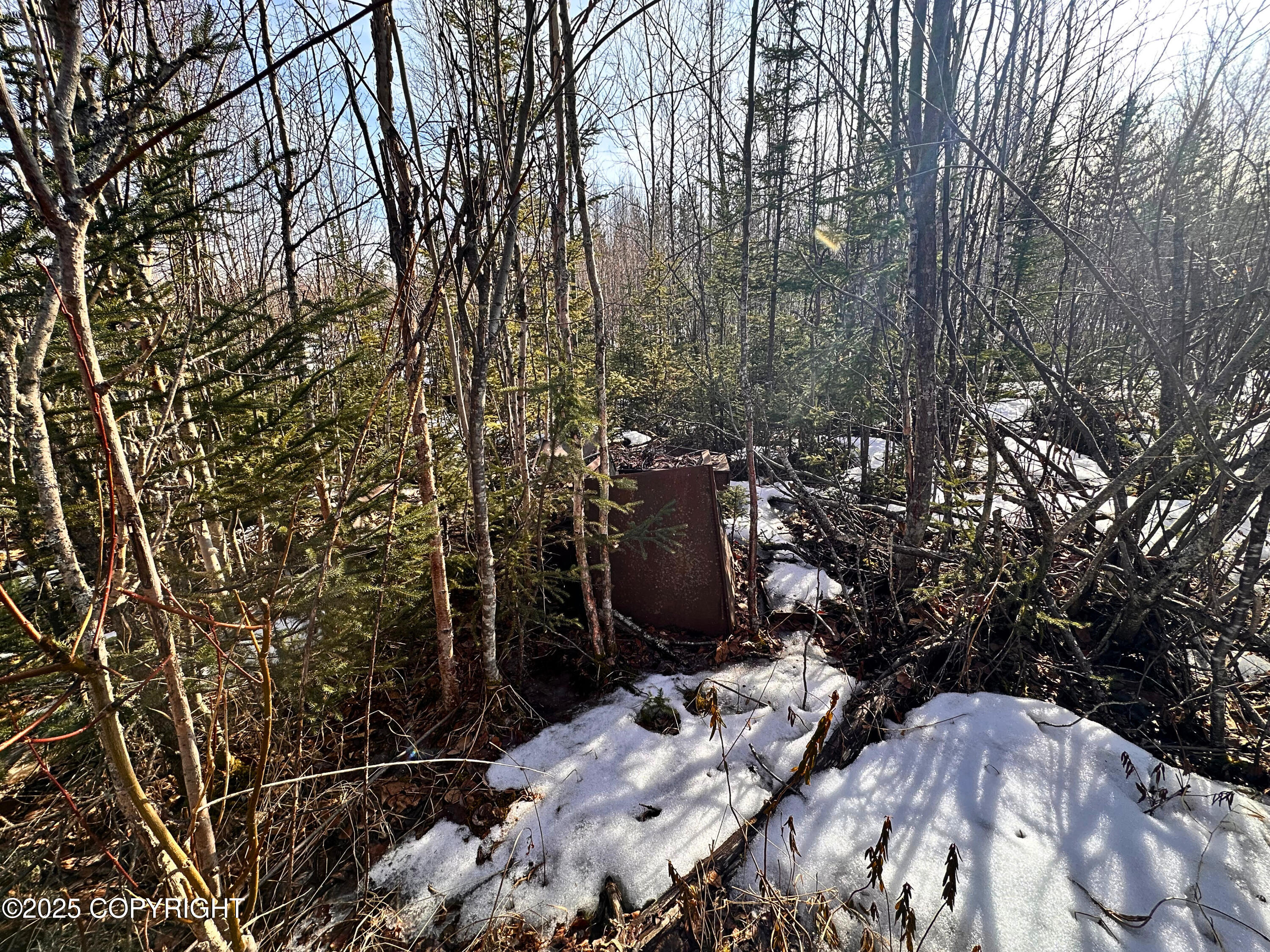 15712 W Rochella Place, Big Lake, Alaska image 3