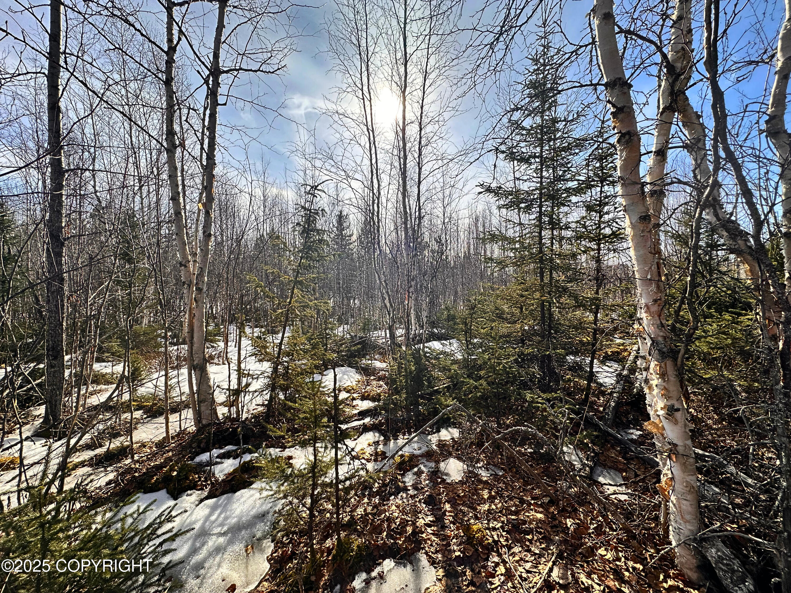 15712 W Rochella Place, Big Lake, Alaska image 4