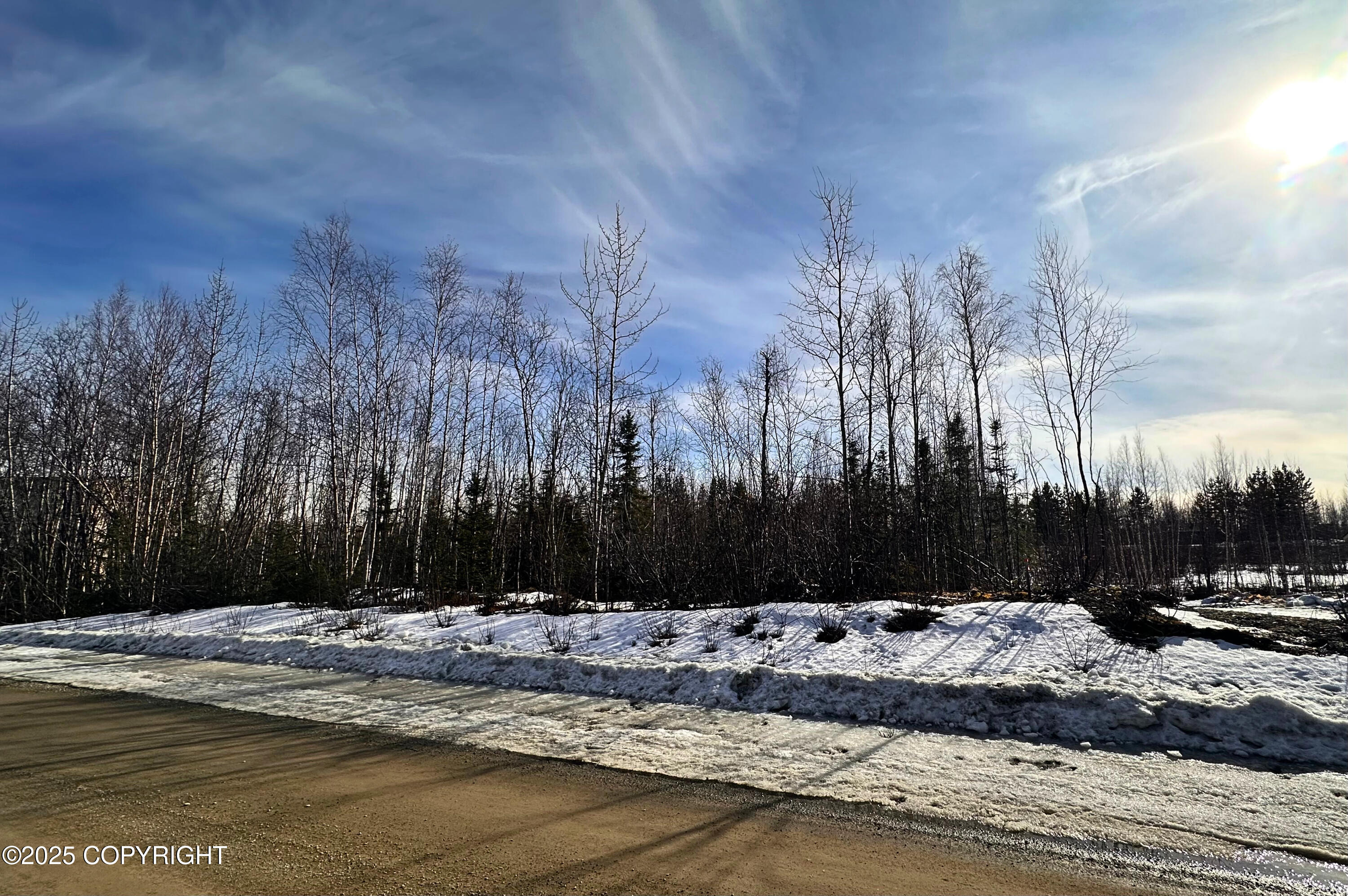 15712 W Rochella Place, Big Lake, Alaska image 6