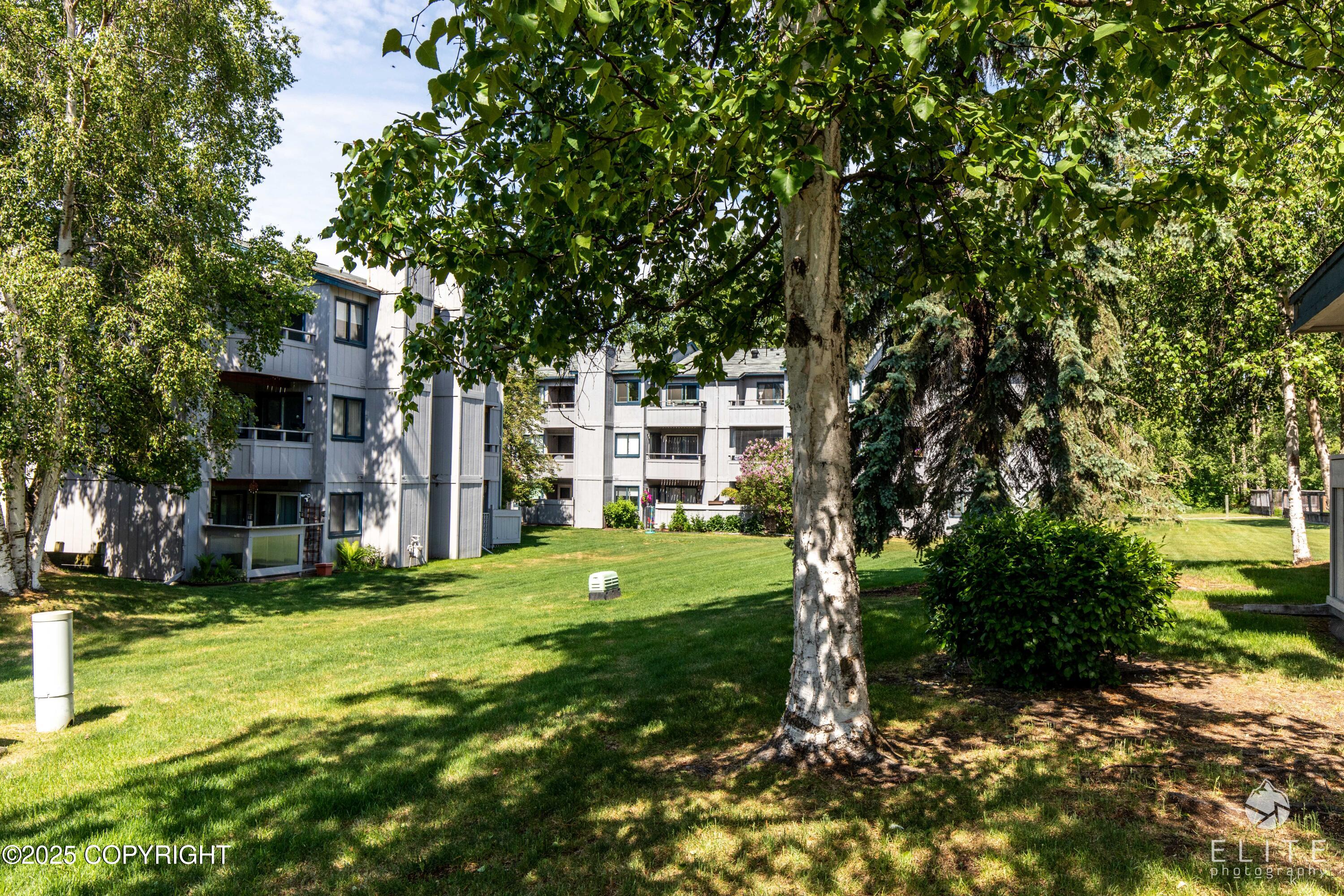 1631 Eastridge Drive #303, Anchorage, Alaska image 3