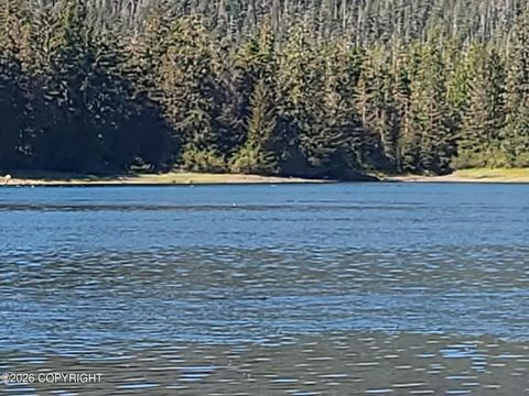 Photo of Lot 12 Wrangell Narrows, Petersburg, AK 99833 (MLS # 26-3869)