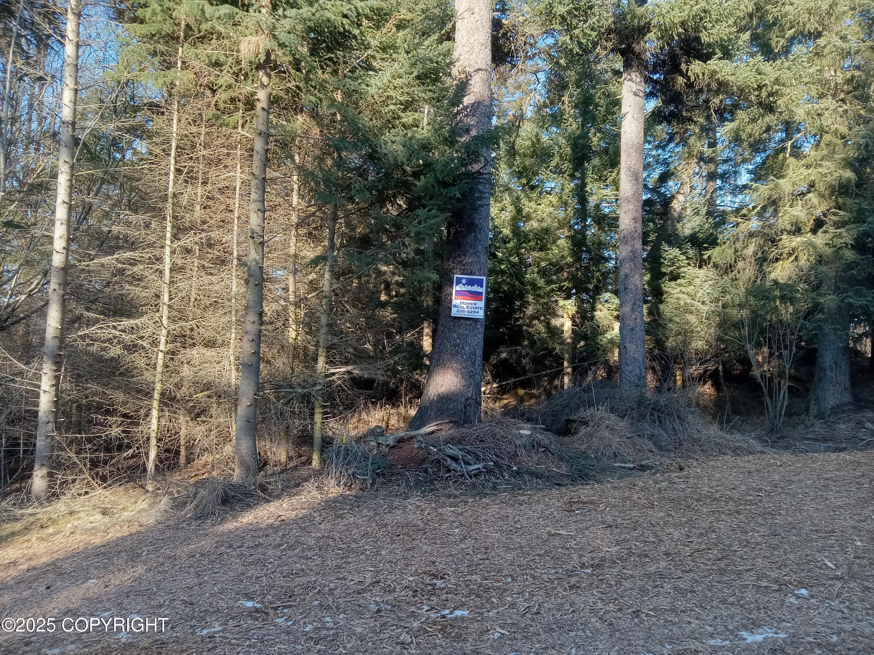 286 Ocean Dr Loop, Homer, Texas image 22