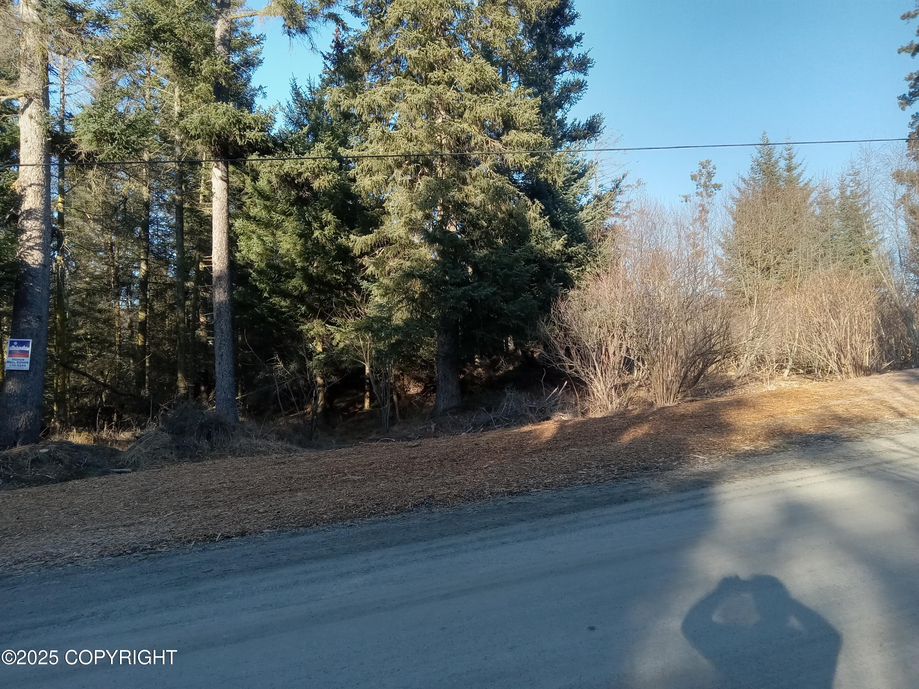 286 Ocean Dr Loop, Homer, Texas image 6