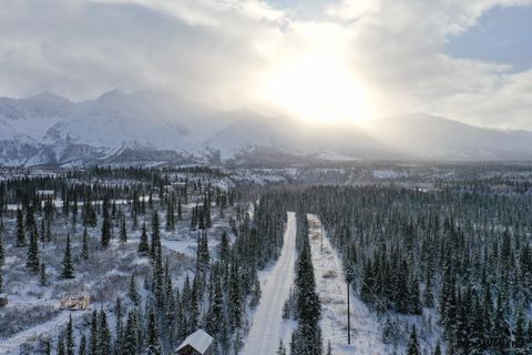 Vacant Land For Sale - B1-L2 Denali Jack River Canyon<br/> Cantwell, AK 99729