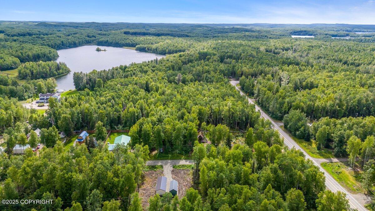 24600 N Otter Lk Lp Loop, Willow, Alaska image 10