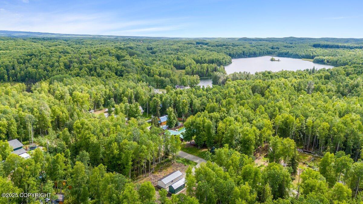 24600 N Otter Lk Lp Loop, Willow, Alaska image 9