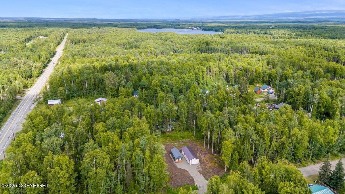 24600 N Otter Lk Lp Loop, Willow, Alaska image 8