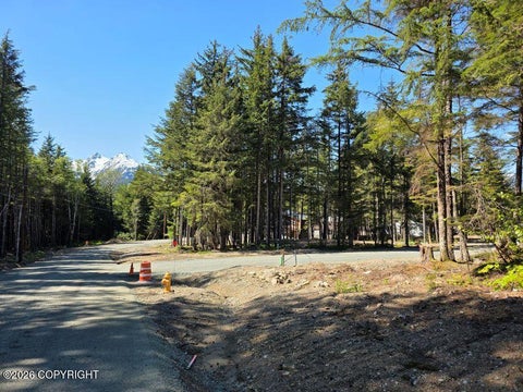 Photo of Lot 37 Allie Road, Haines, AK 99827 (MLS # 26-12181)