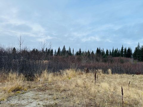 Vacant Land For Sale - 34191 Chapman Street<br/> Anchor Point, AK 99556