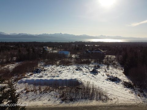 Vacant Land For Sale - 55049 Bonnie Avenue<br/> Homer, AK 99603