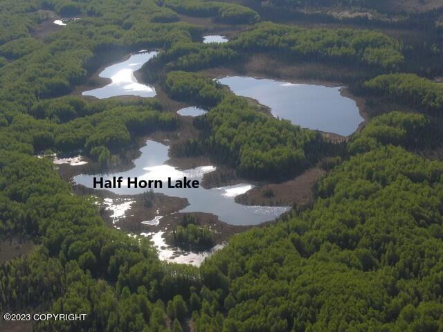 Tr C No Road Josh Lake, Skwentna, Alaska image 5