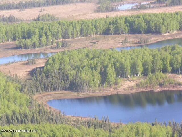 Tr C No Road Josh Lake, Skwentna, Alaska image 3