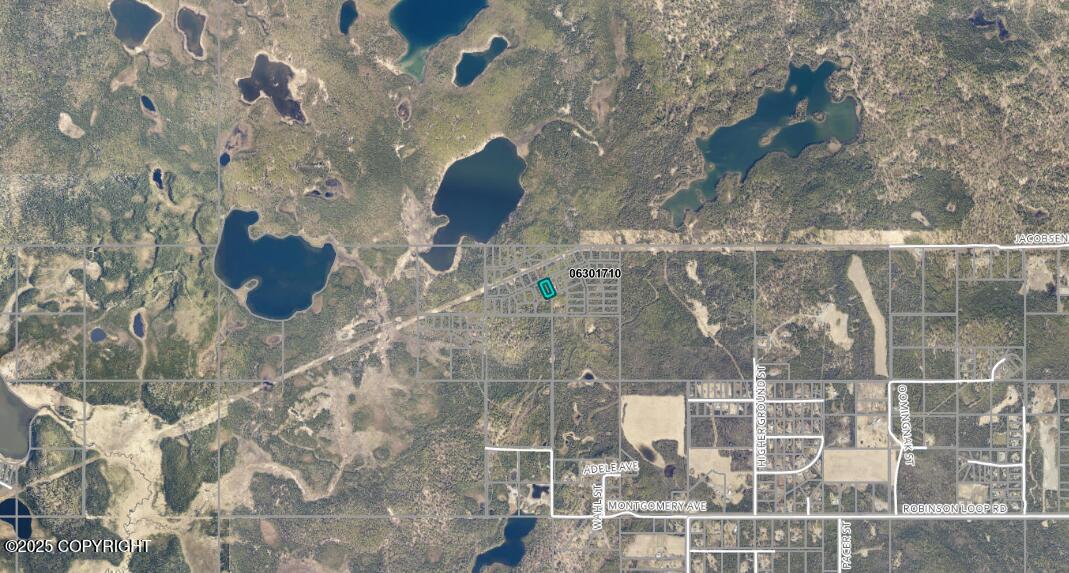 L9 Moosetadon, Sterling, Alaska image 2