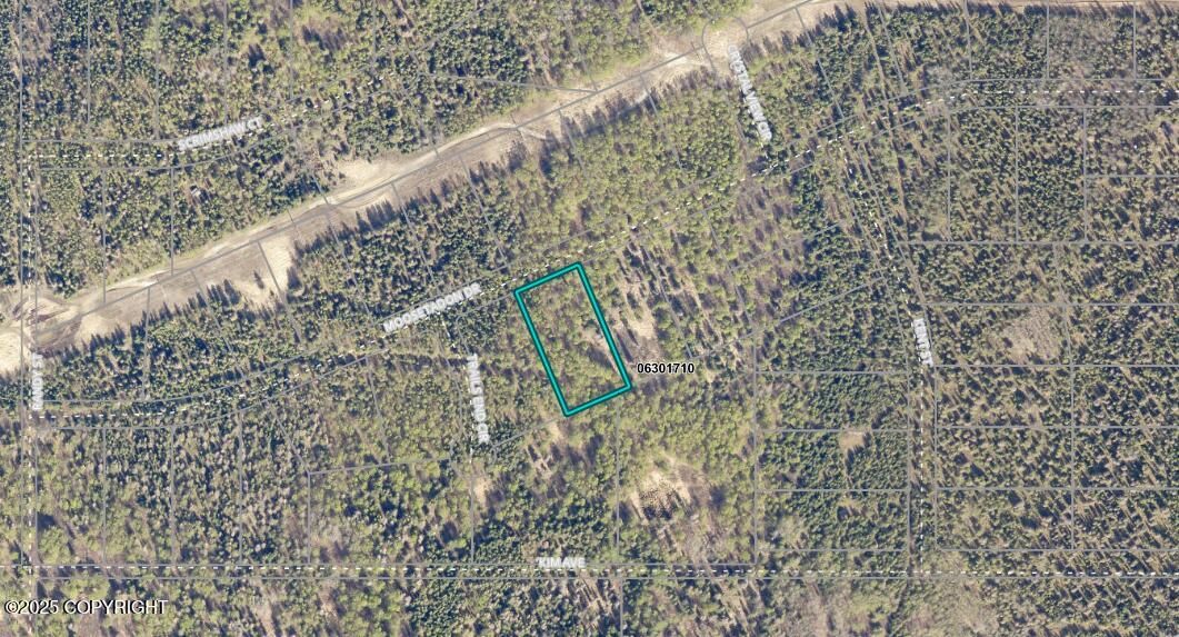 L9 Moosetadon, Sterling, Alaska image 1