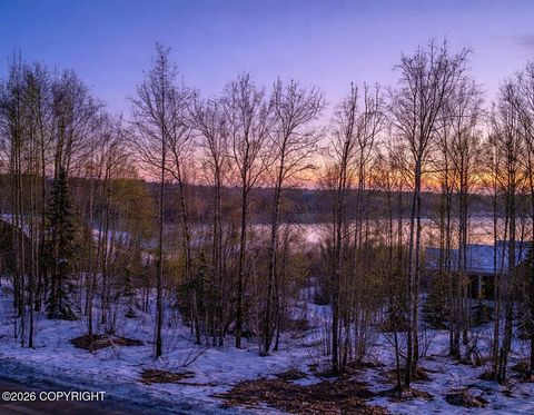 Photo of 3671 N Meadow Lakes Drive, Wasilla, AK 99623 (MLS # 26-4116)