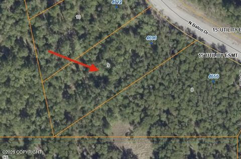 Photo of 4696 N Baloo Drive, Wasilla, AK 99654 (MLS # 26-4069)
