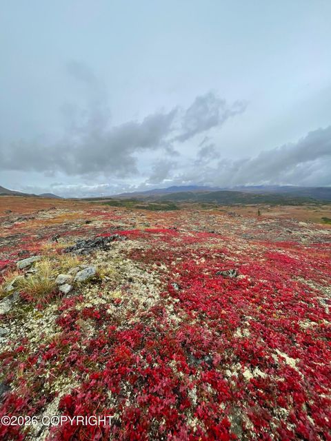 Photo of ASLS80-176 Bald MTN B19 L4, Talkeetna, AK 99676 (MLS # 26-5138)