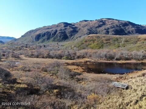 Vacant Land For Sale - L4 Kizhuyak Bay<br/> Port Lions, AK 99550