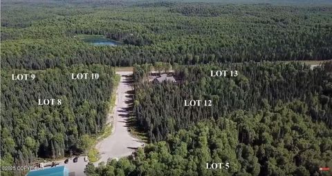 Vacant Land For Sale - 29384 S Wingtie Street<br/> Talkeetna, AK 99676