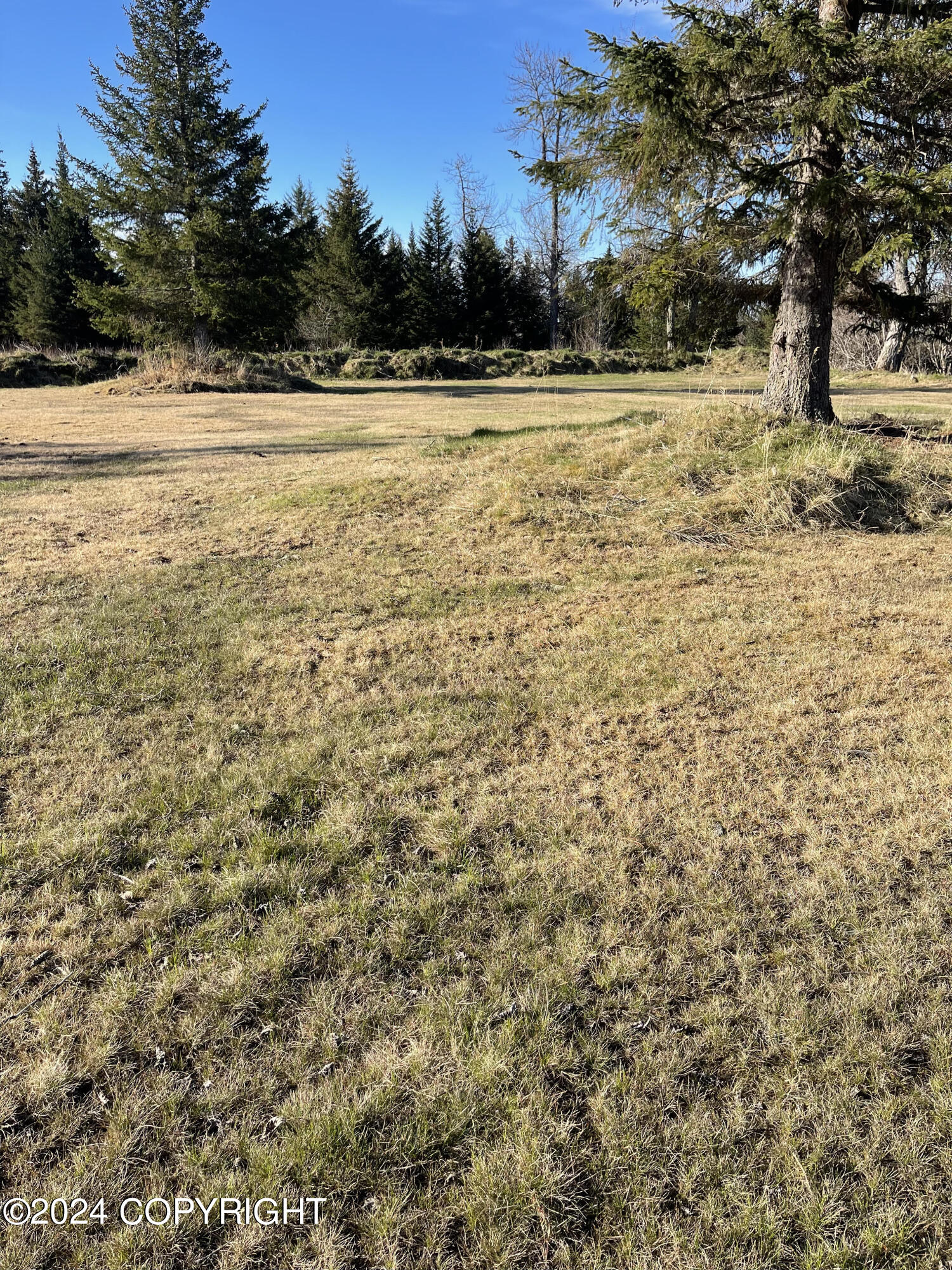 34155 Hms Resolution Road, Anchor Point, Alaska image 4