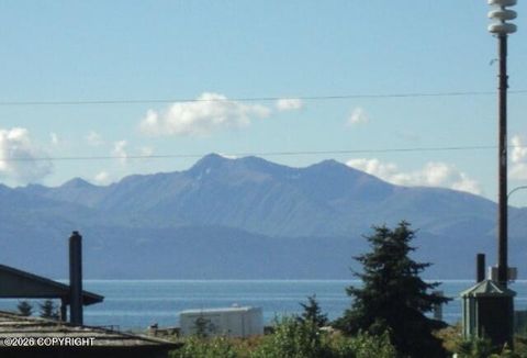 Photo of 253 E Bunnell Avenue, Homer, AK 99603 (MLS # 26-5207)