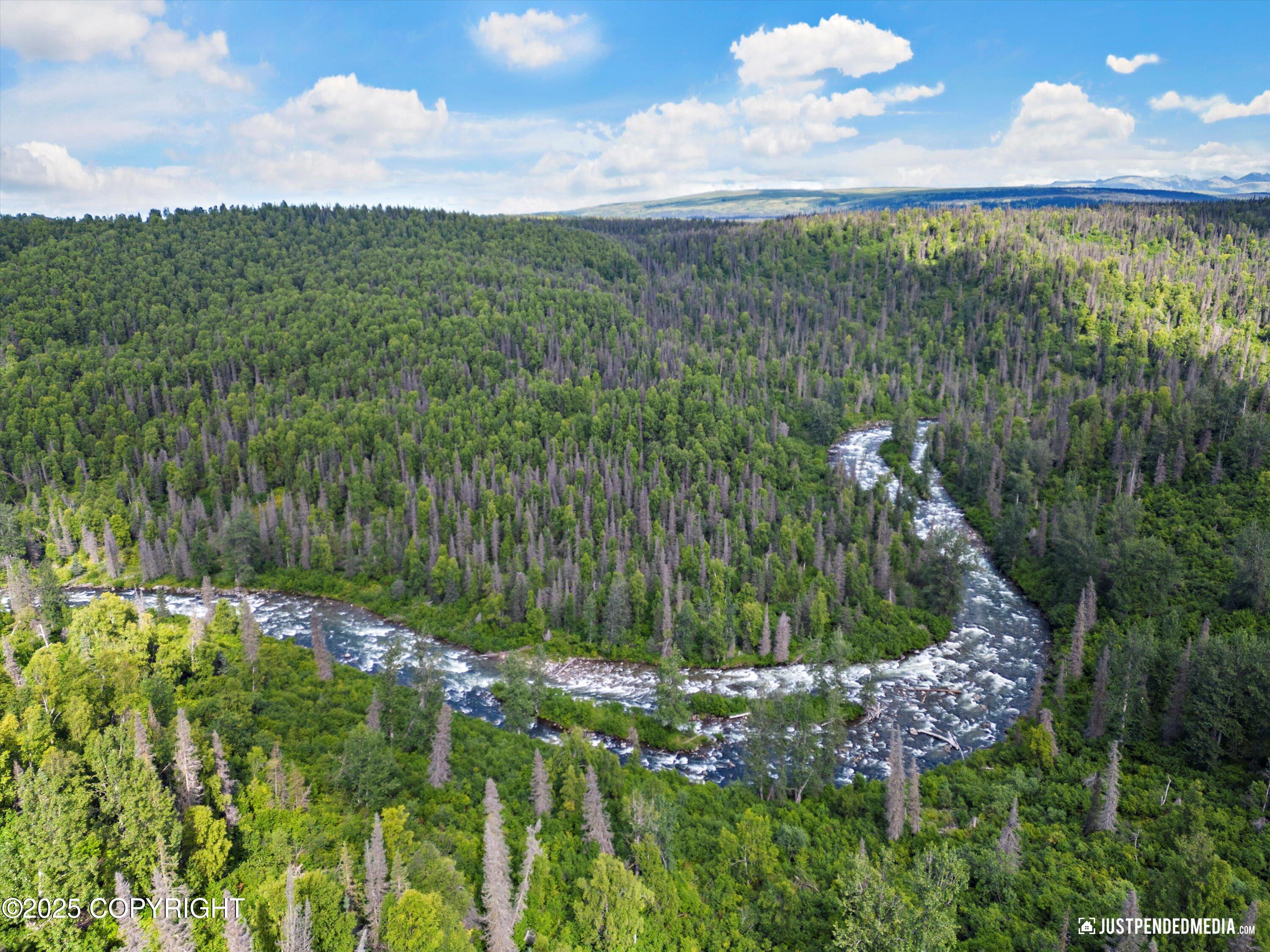12719 Snowberry Road, Willow, Alaska image 7