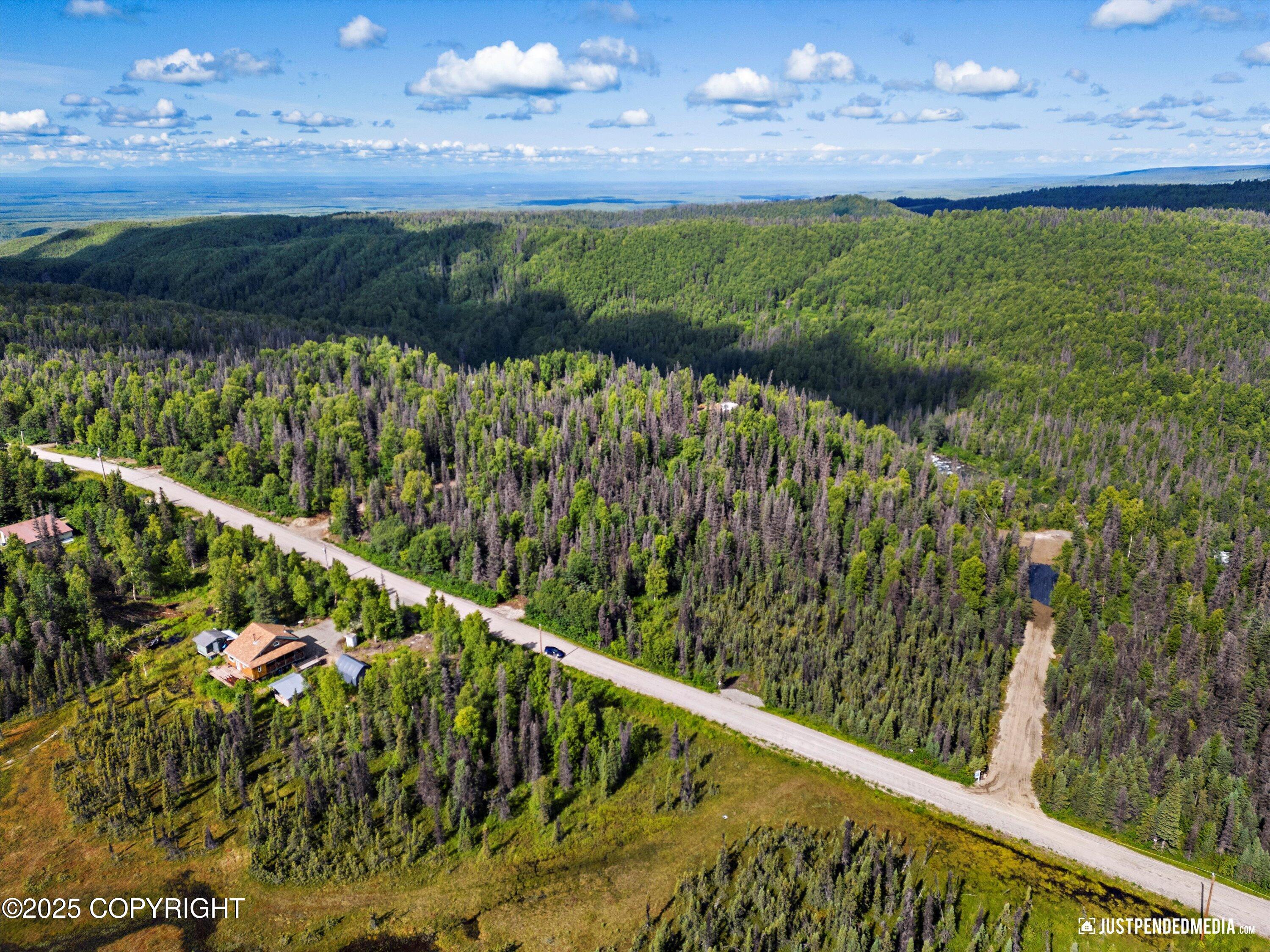 12719 Snowberry Road, Willow, Alaska image 10