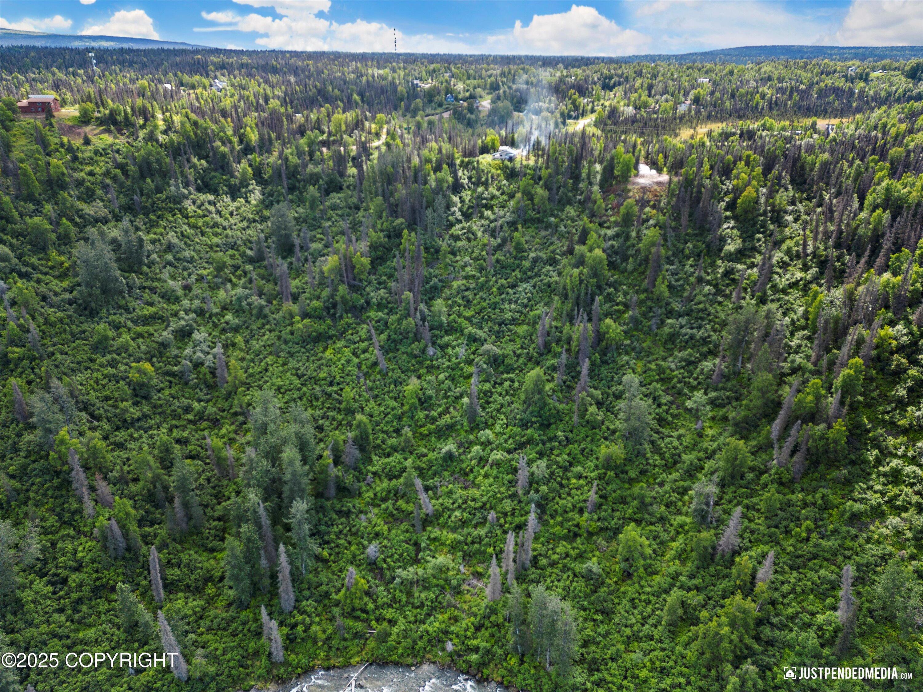 12719 Snowberry Road, Willow, Alaska image 3