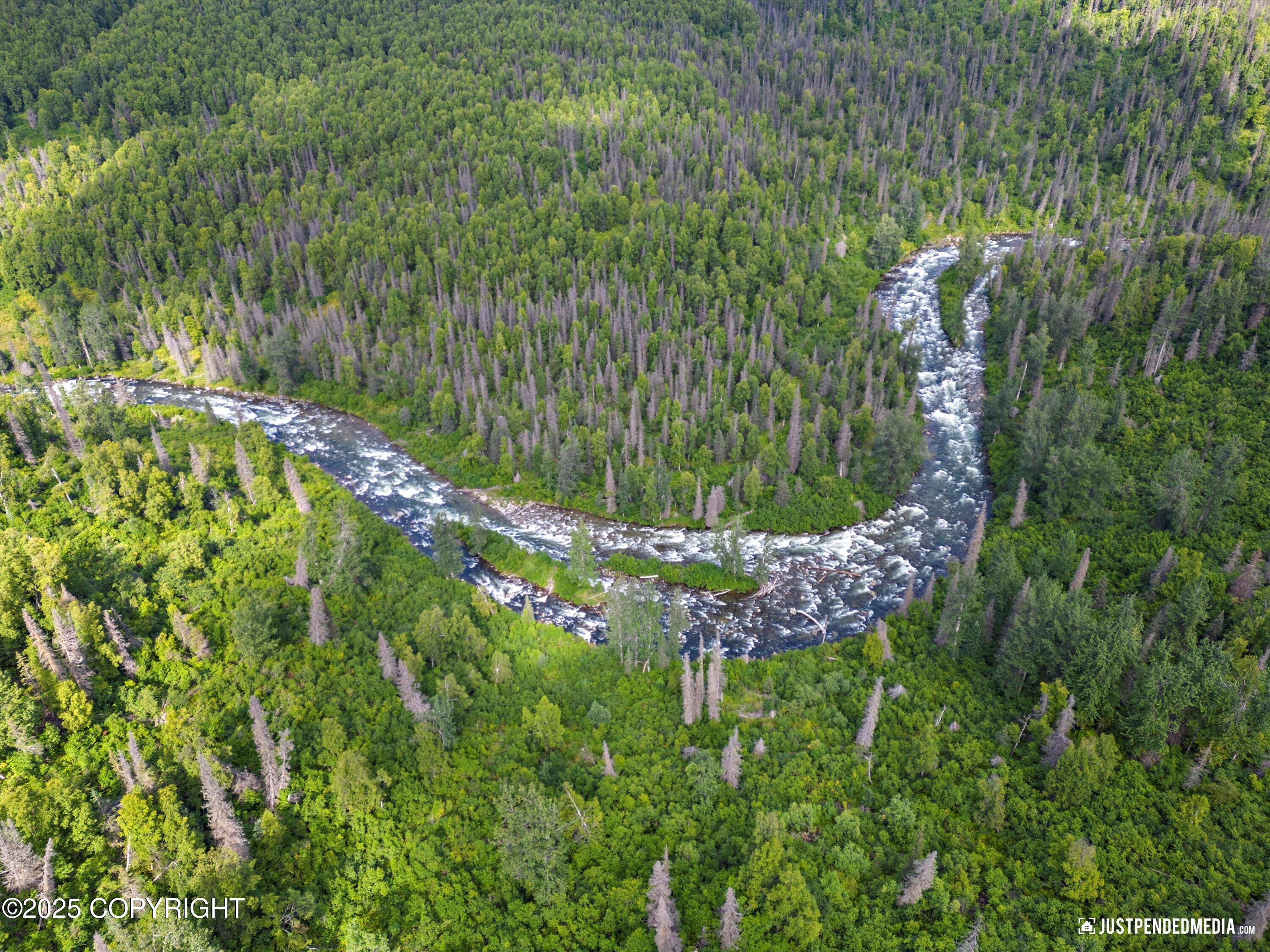 12719 Snowberry Road, Willow, Alaska image 4