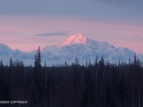 Homes For Sale - 25848 S Oilwell Road<br/> Trapper Creek, AK 99683