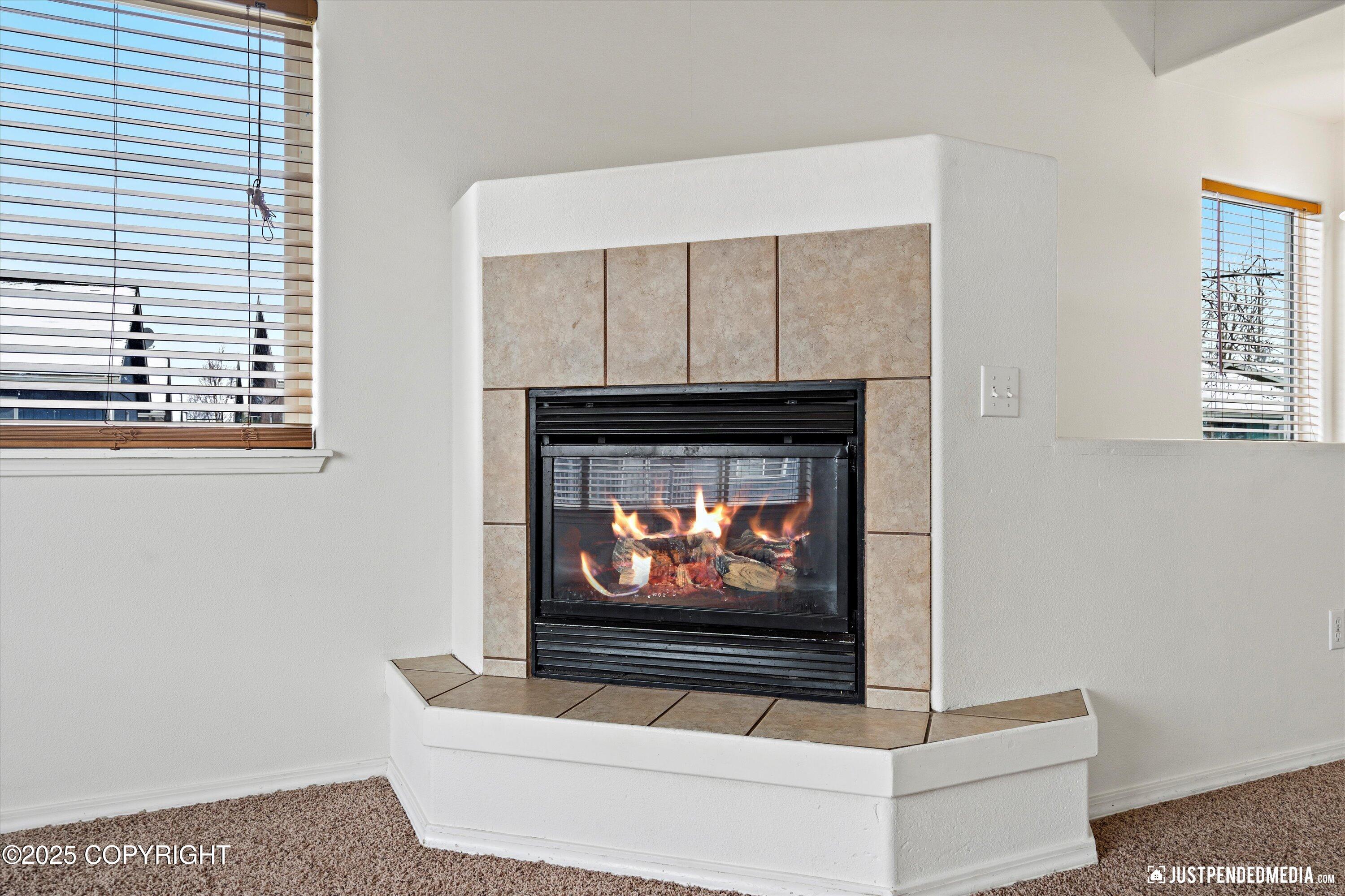 2437 Havenshire Place #38, Anchorage, Alaska image 17