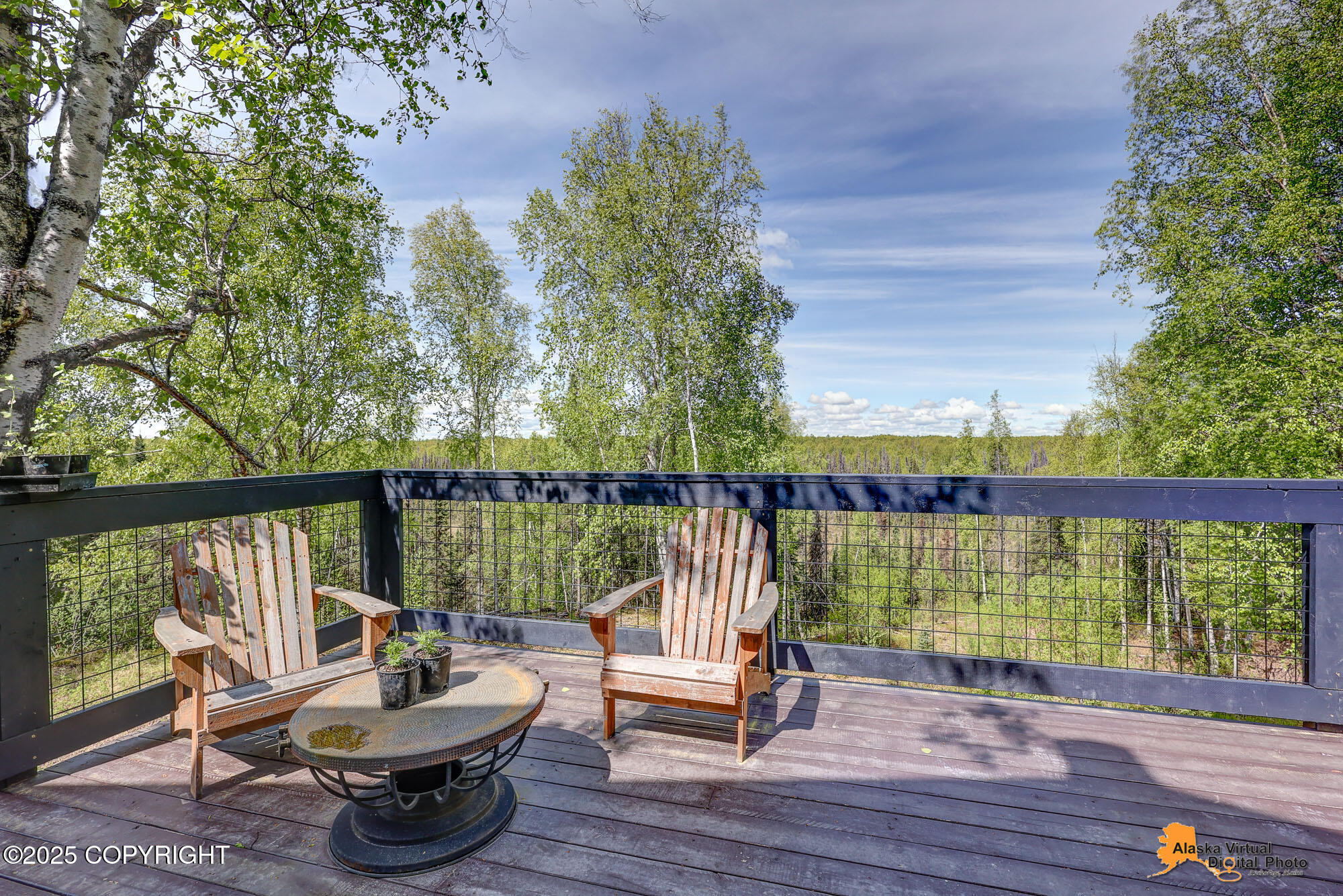 16111 E Nosey Avenue, Talkeetna, Alaska image 38