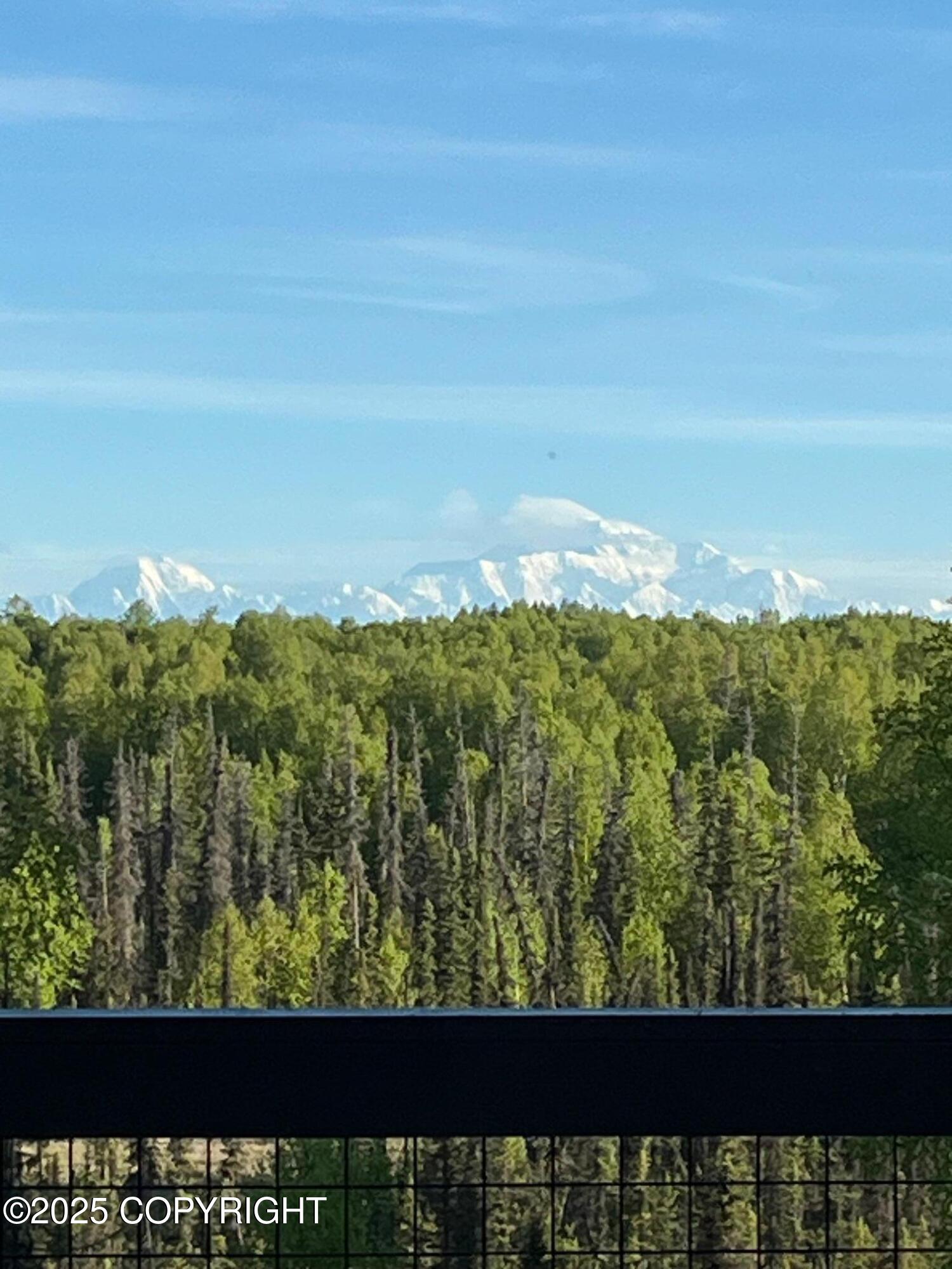 16111 E Nosey Avenue, Talkeetna, Alaska image 50