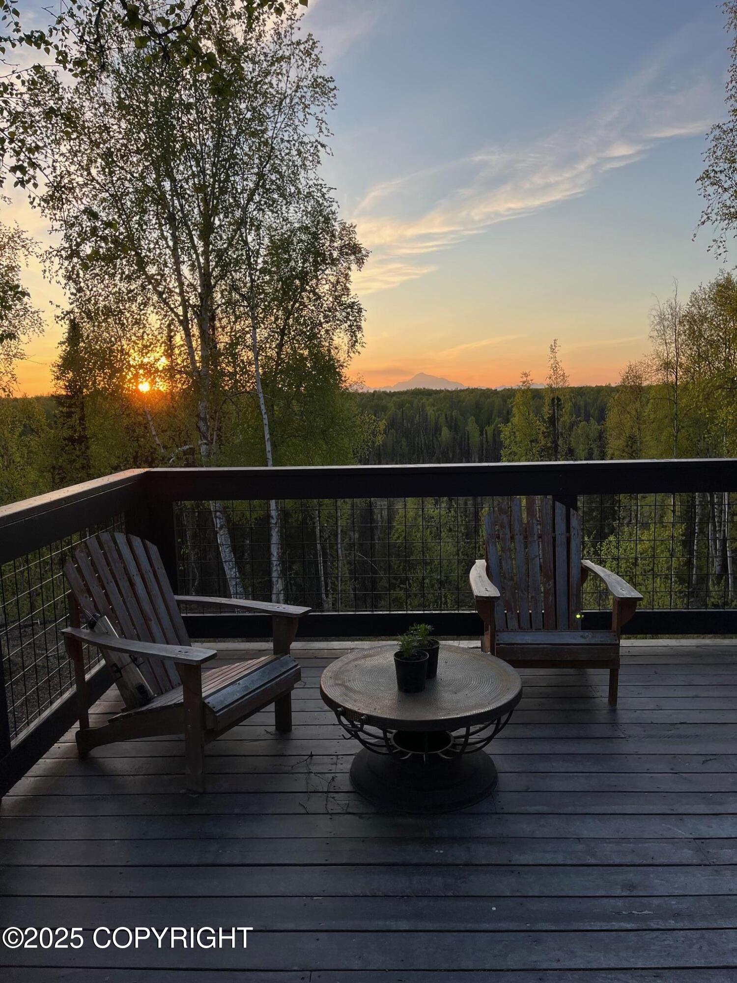 16111 E Nosey Avenue, Talkeetna, Alaska image 49