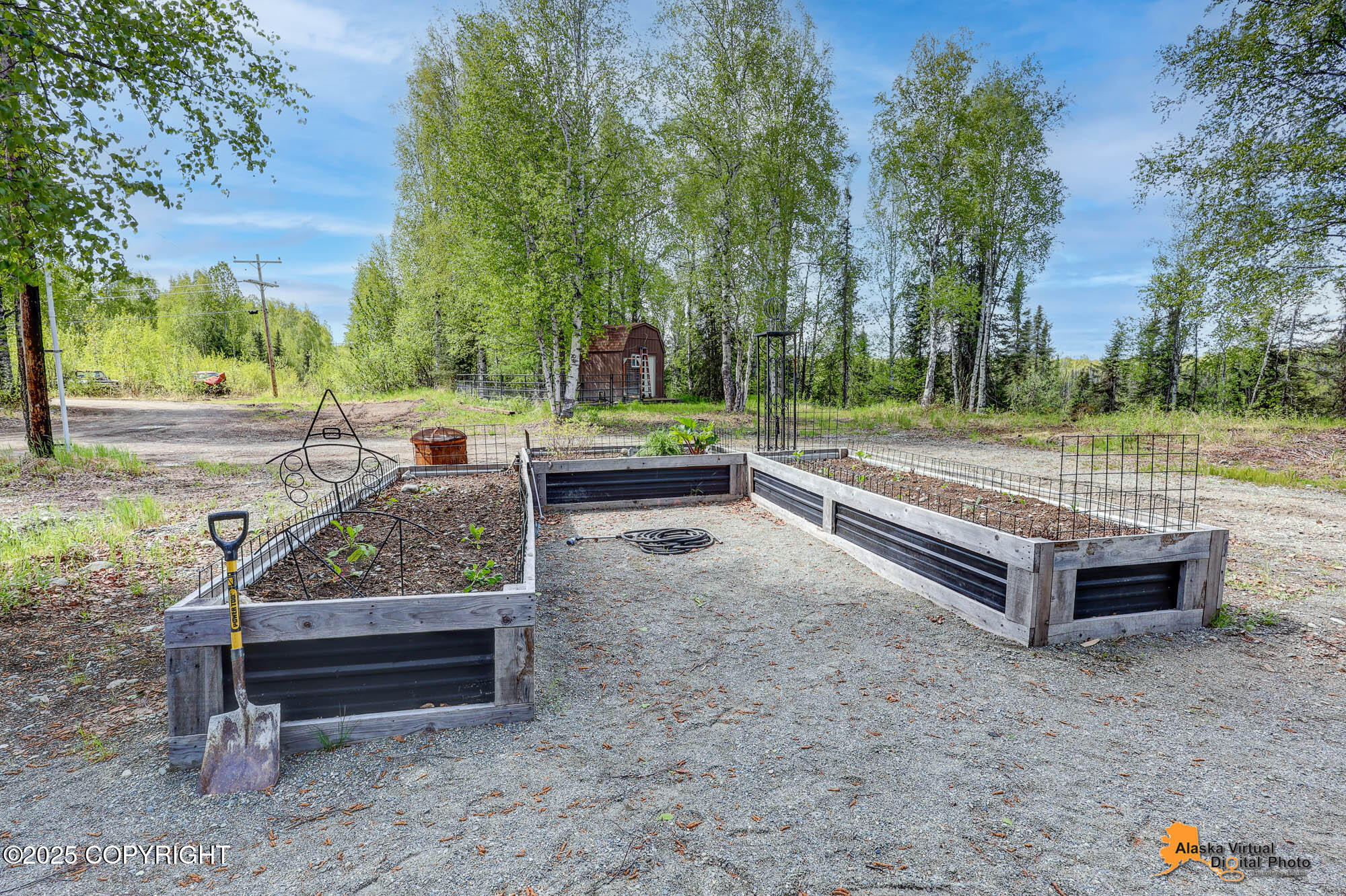16111 E Nosey Avenue, Talkeetna, Alaska image 42
