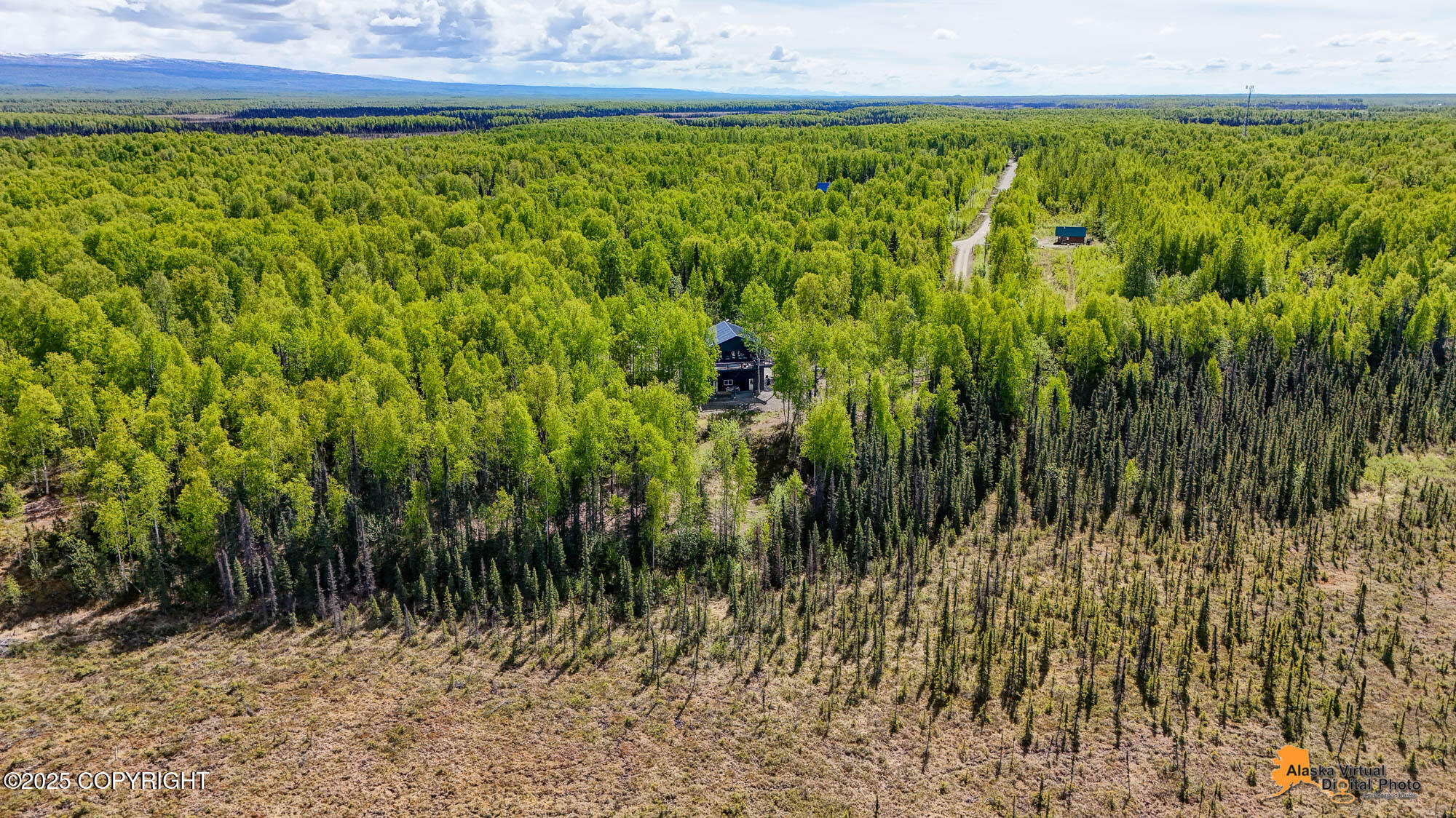 16111 E Nosey Avenue, Talkeetna, Alaska image 46
