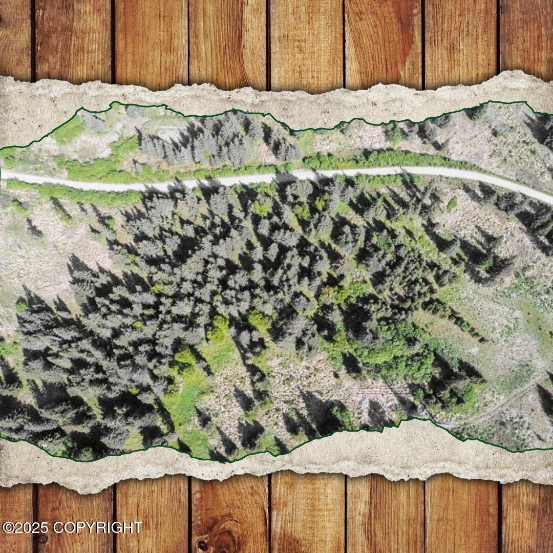 17515 Arcturus Loop, Ninilchik, Alaska image 1