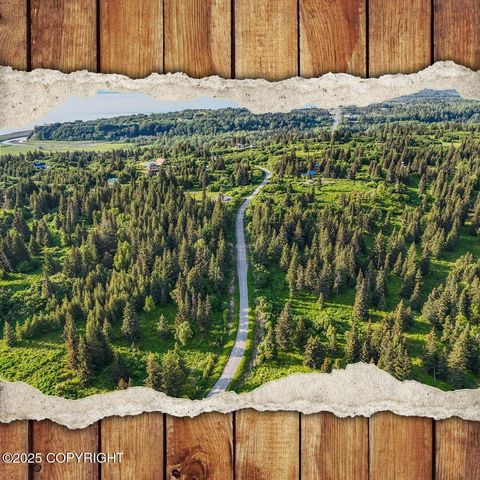Vacant Land For Sale - 17515 Arcturus Loop<br/> Ninilchik, AK 99639
