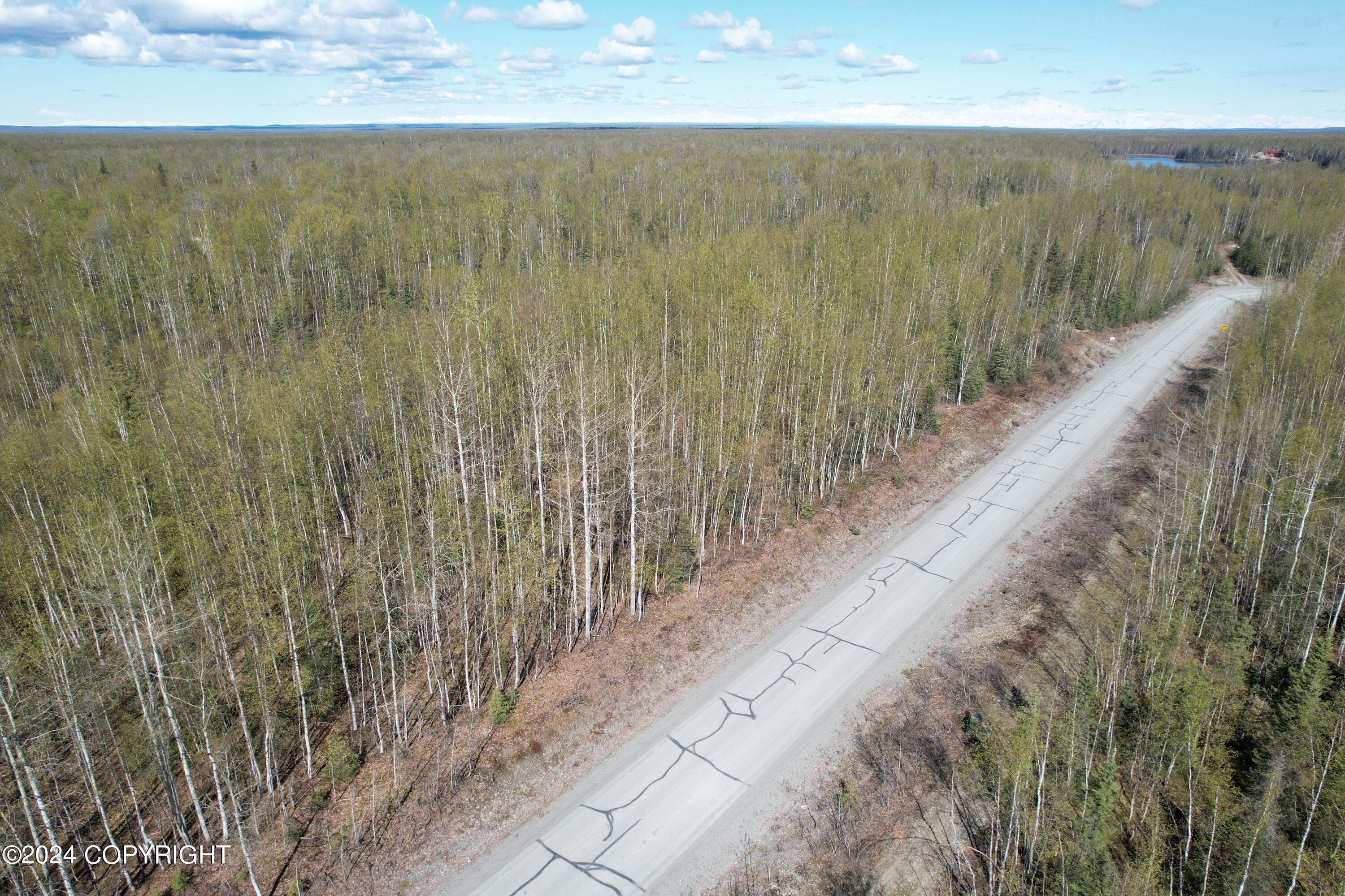 11426 N Michigan Street, Willow, Alaska image 14