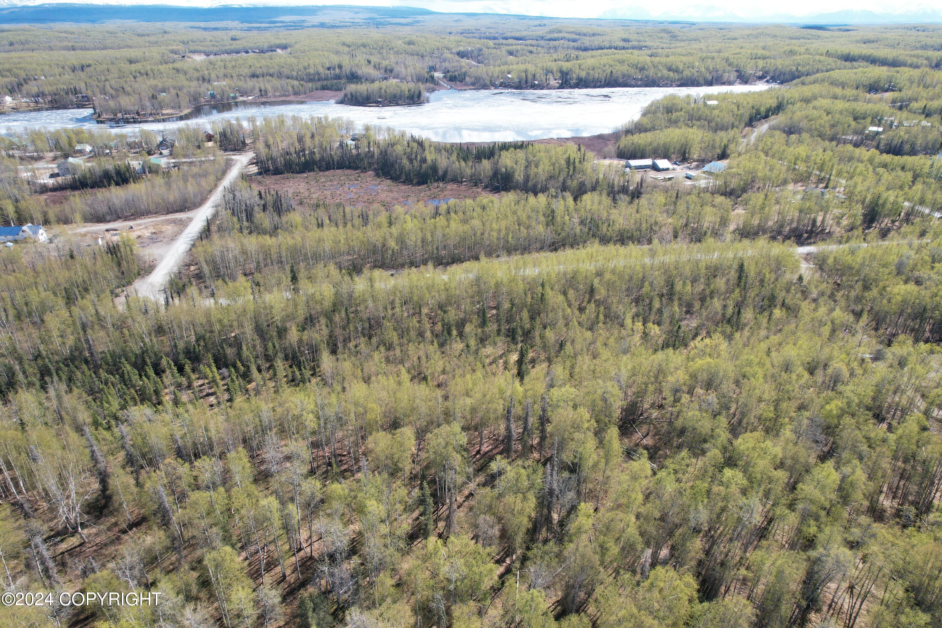 11426 N Michigan Street, Willow, Alaska image 11