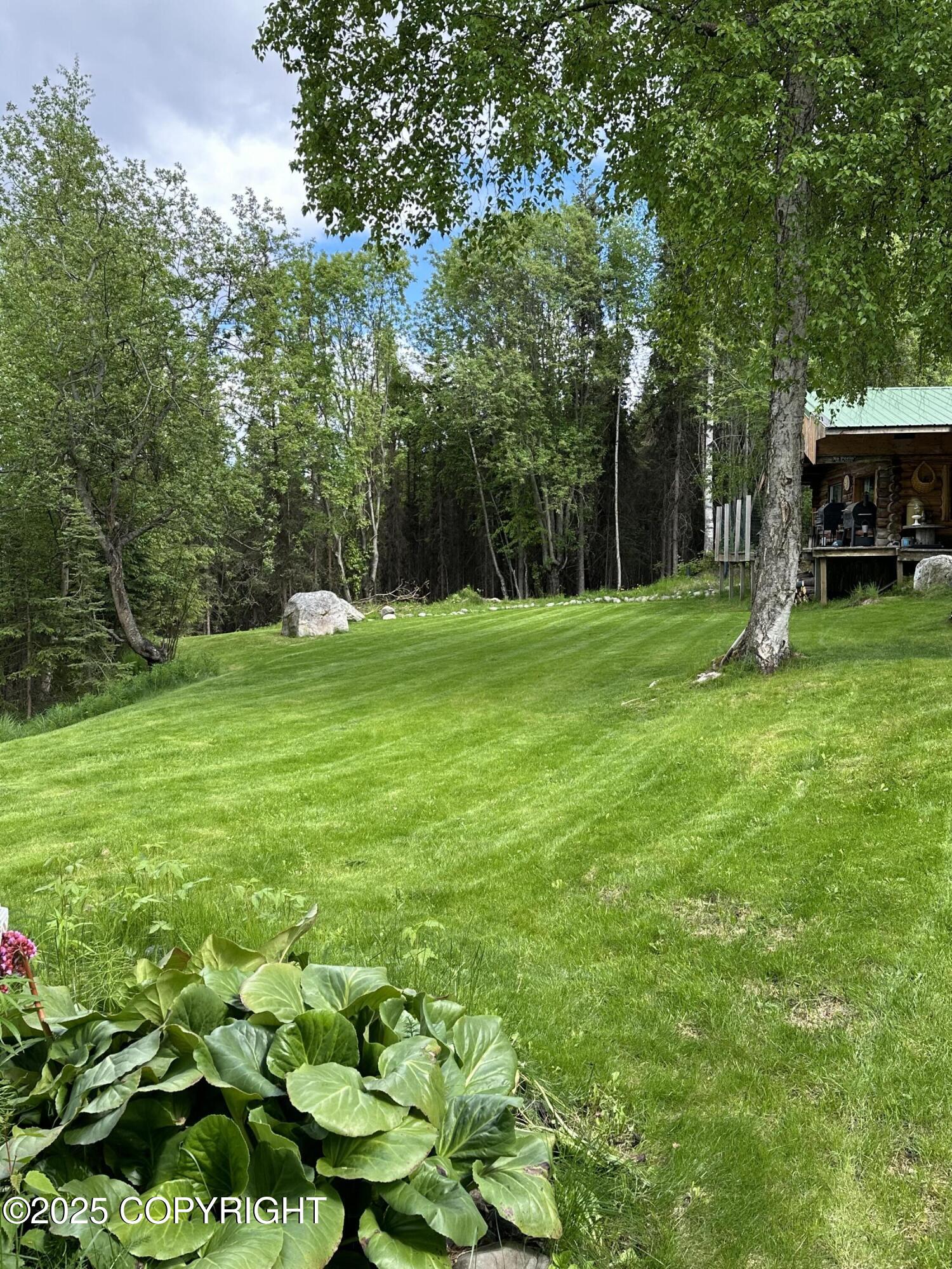 29340 Bear Road, Sterling, Alaska image 4
