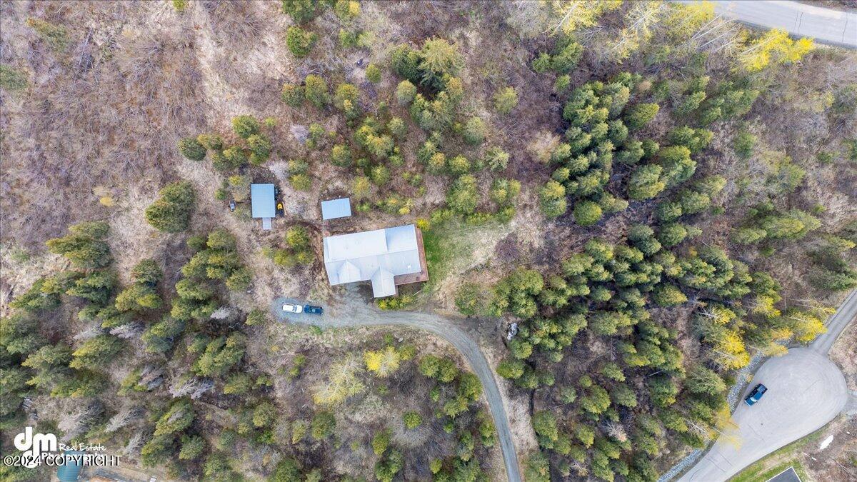 22253 Elkhorn Circle, Eagle River, Alaska image 45