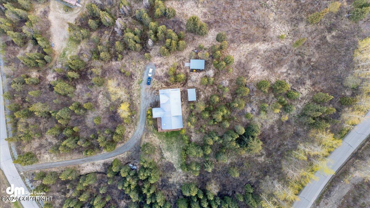 22253 Elkhorn Circle, Eagle River, Alaska image 44