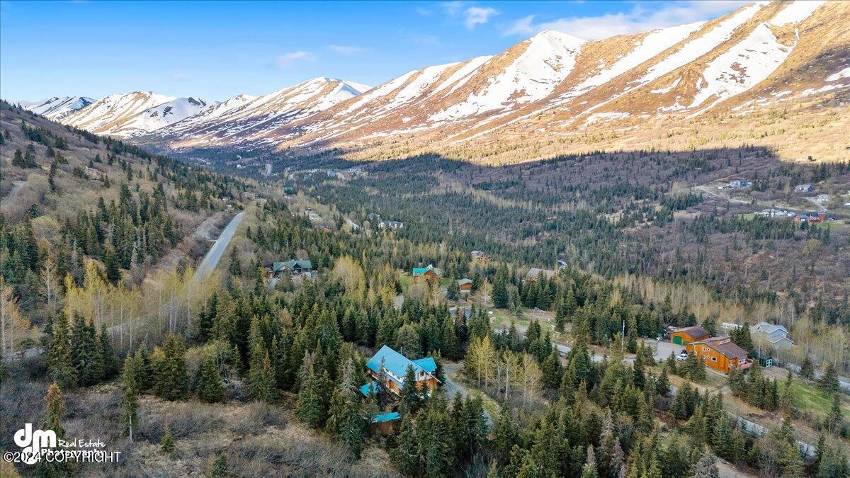 22253 Elkhorn Circle, Eagle River, Alaska image 50