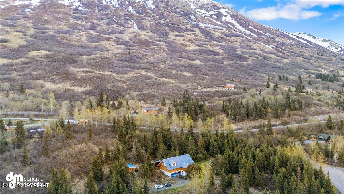 22253 Elkhorn Circle, Eagle River, Alaska image 48