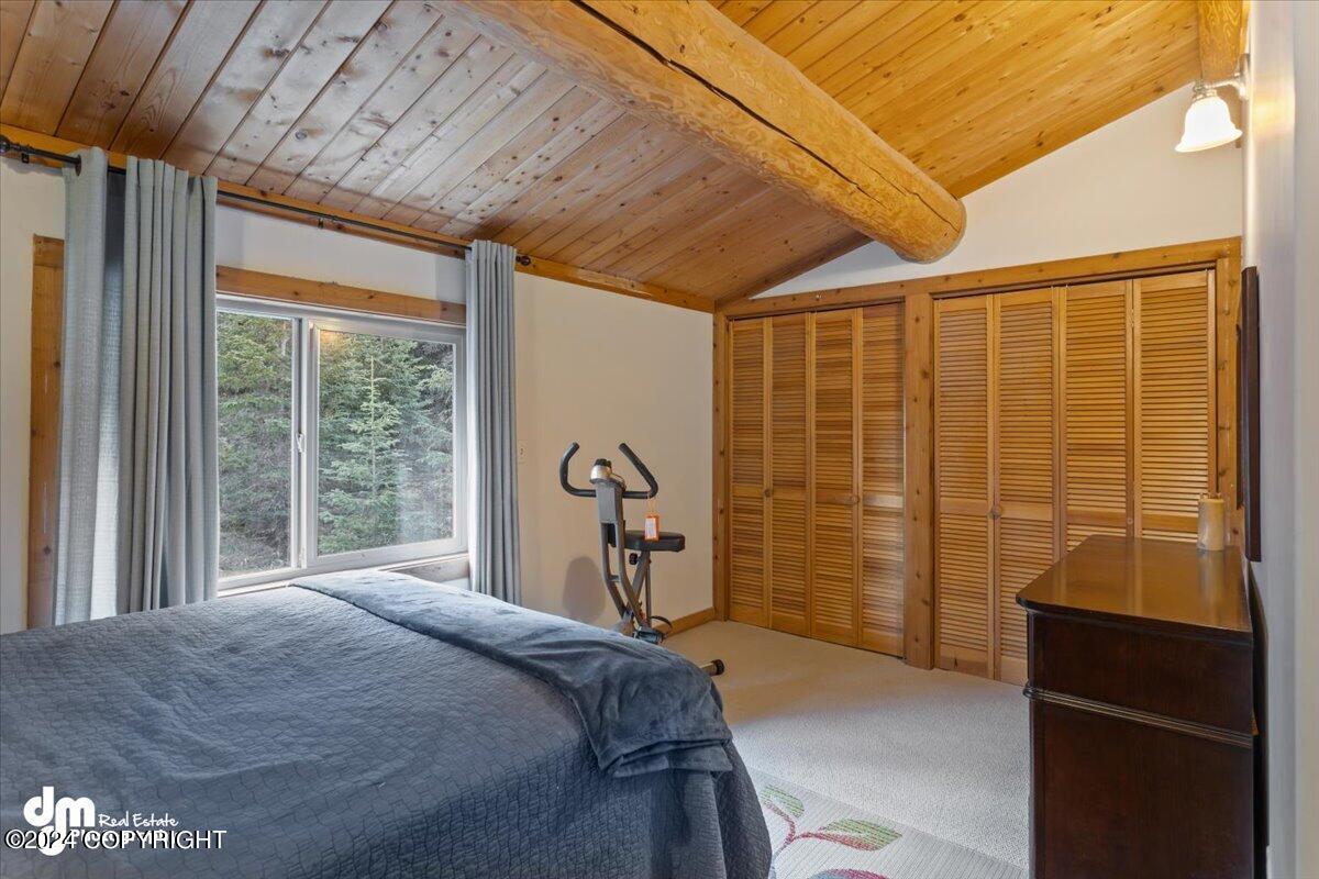 22253 Elkhorn Circle, Eagle River, Alaska image 23