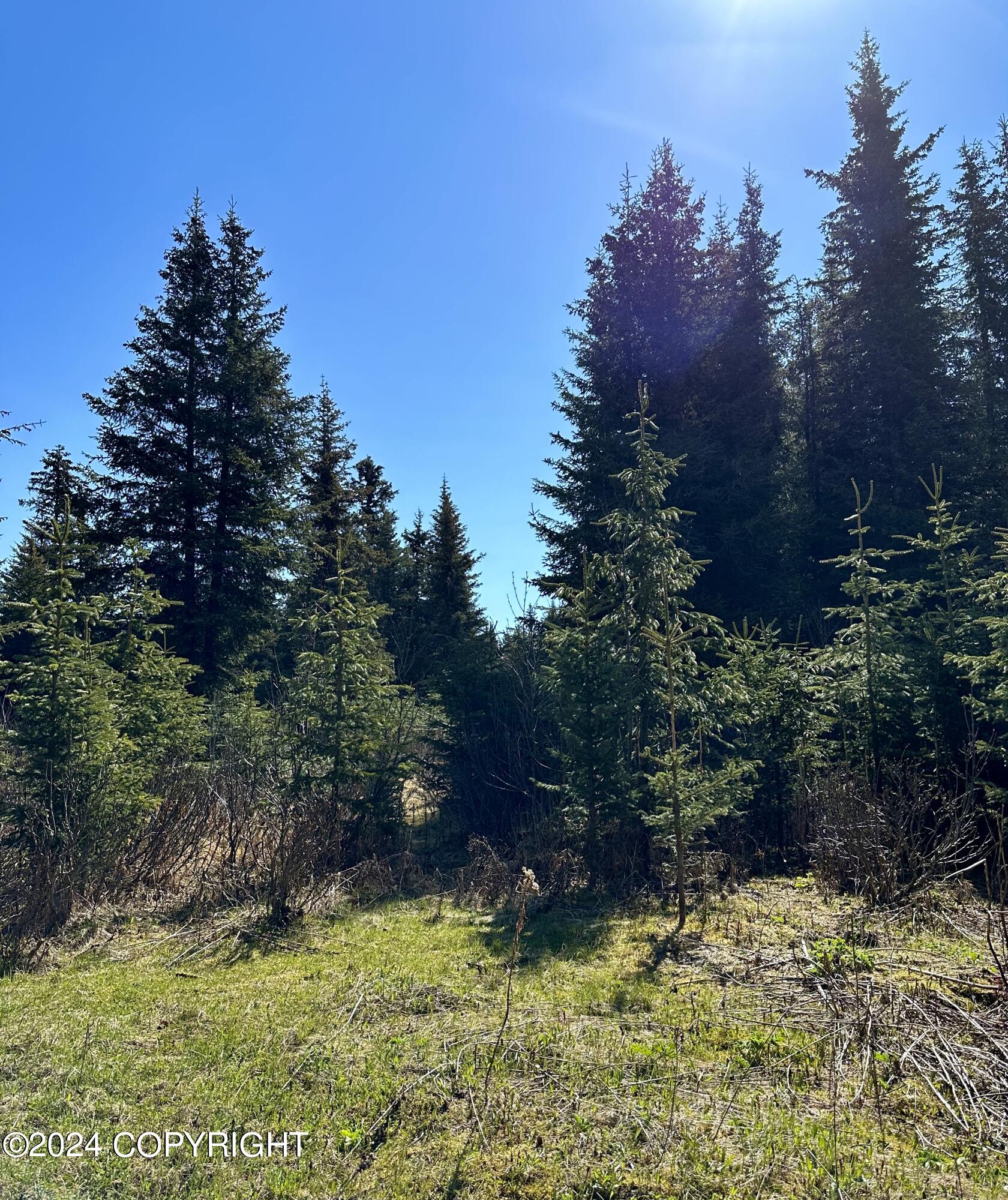 5665 Felix Circle, Homer, Alaska image 5
