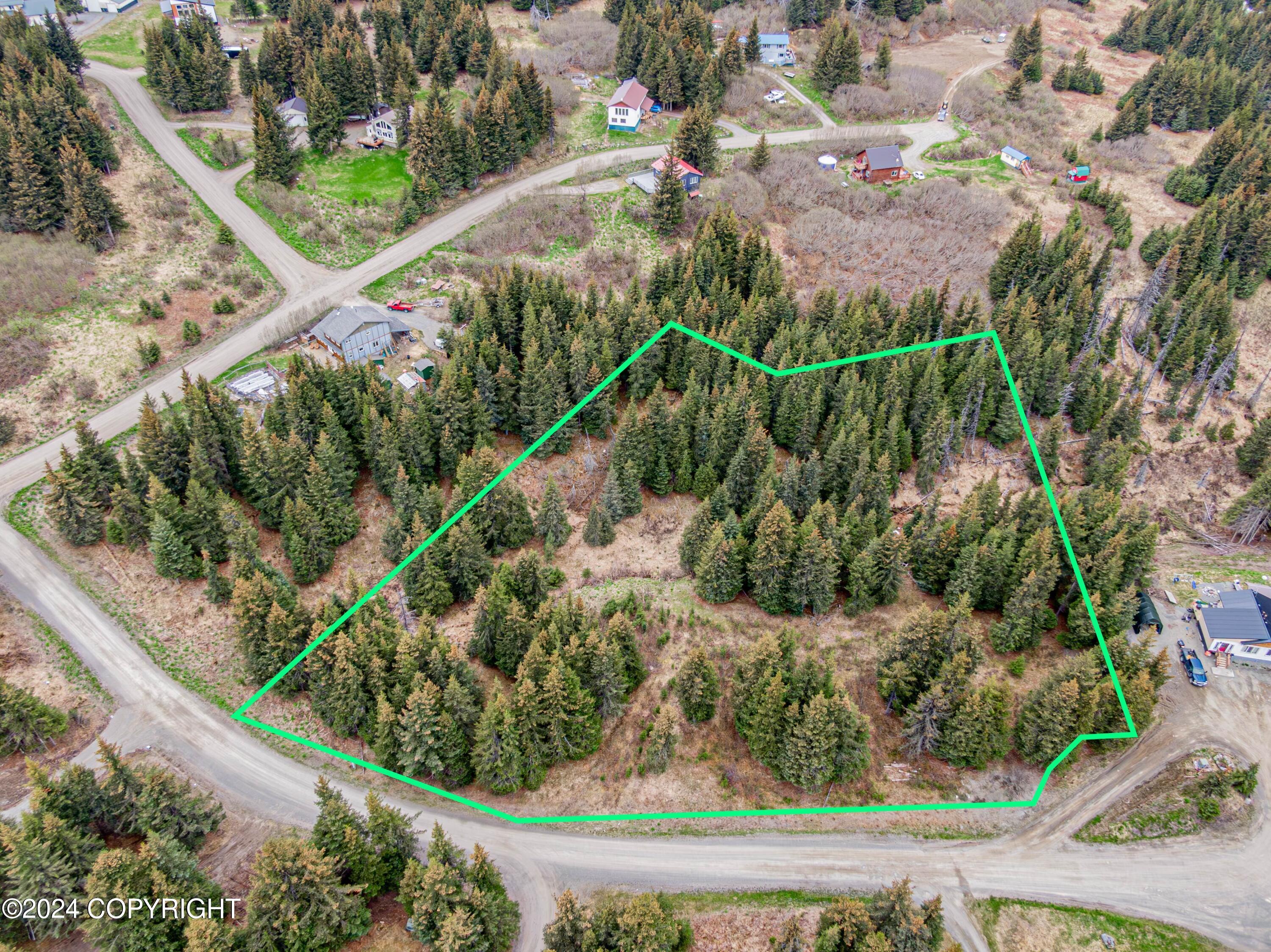 5665 Felix Circle, Homer, Alaska image 1