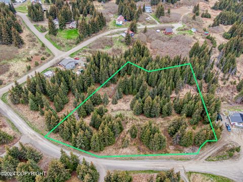 Vacant Land For Sale - 5665 Felix Circle<br/> Homer, AK 99603