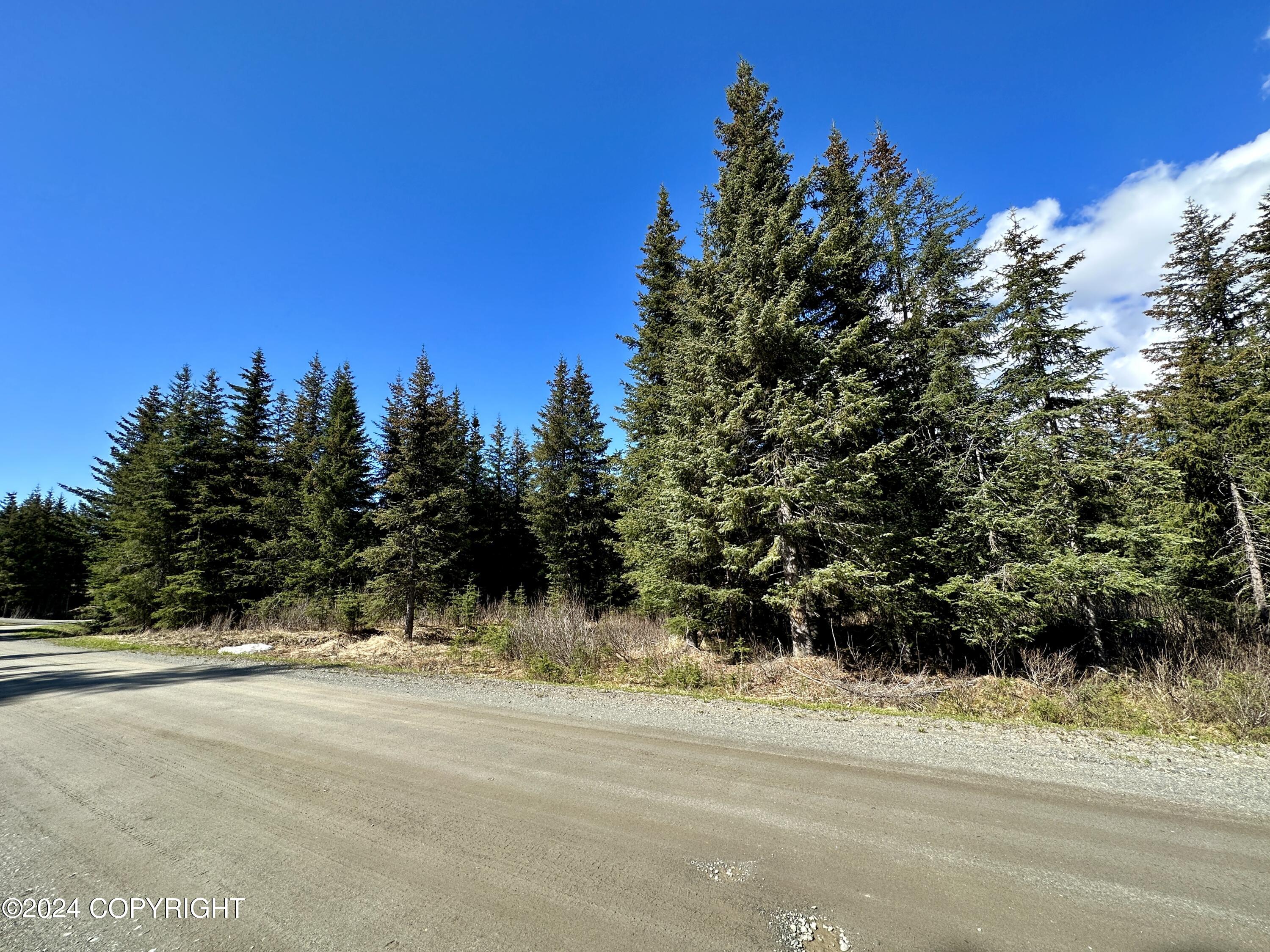 5665 Felix Circle, Homer, Alaska image 2